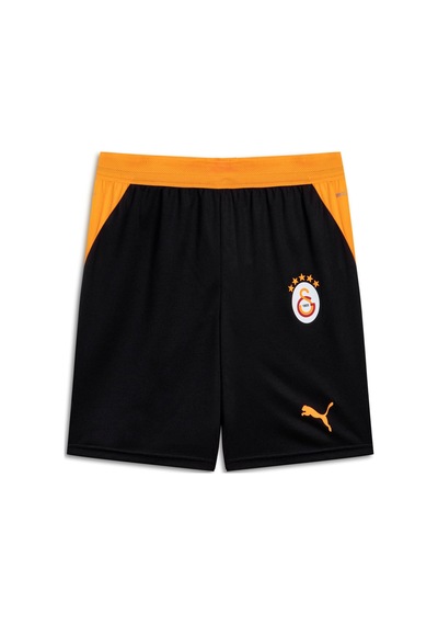 Puma Galatasaray 26/27 Erkek Futbol Şortu 785023 03 Siyah