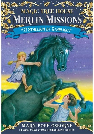 Stallion By Starlight