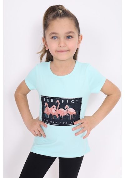 Toontoy Kids Toontoy Kız Çocuk Flamingo Baskılı Tişört Mint Yeşili Toontoy Kids Toontoy Kız Çocuk Flamingo Baskılı Tişört Mint Yeşili