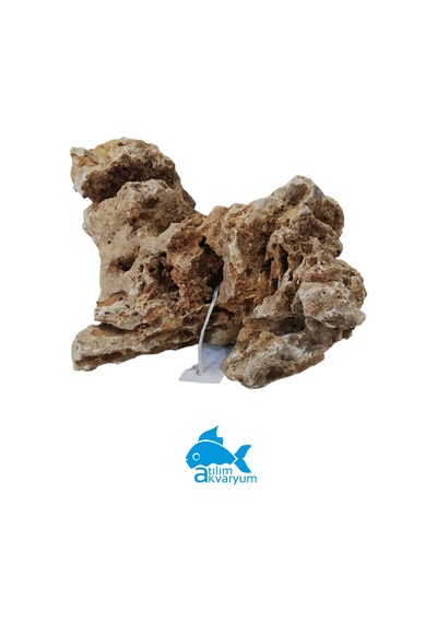 Atılım Akvaryum Falez Taşı Akvaryum Taşı Büyük Boy Falez 4-7 KG