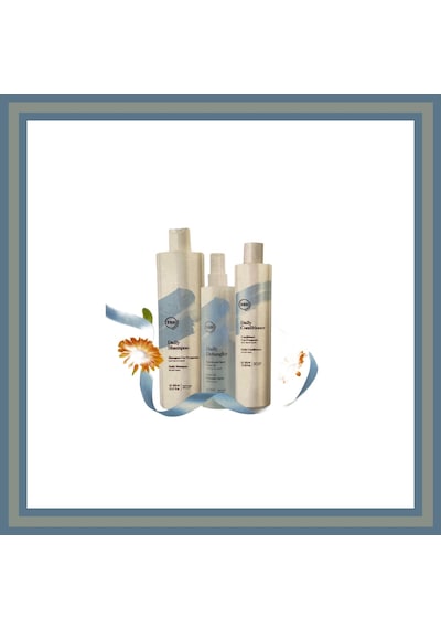 360 Hair Professional Daily Shp-daily Cond 300 ML + Daily Detangler 250 ML Set Normal