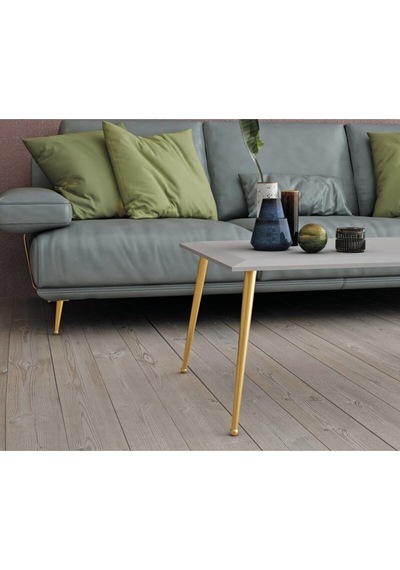 Bone Metal Ayak 25cm Altın Renk Koltuk Puf Dolap Tv Ünite Modern Mobilya Ayağı Komidin Gold