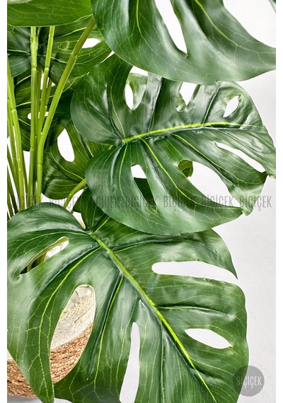 Yapay Monstera Deve Tabani 65 Cm Hasir Saksıda Krem