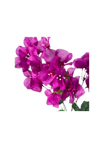 Mudo Home Begonvil Pembe Dal Çiçek 74cm Mor
