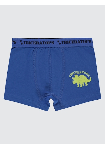 Civil Boys Erkek Çocuk 3'lü Boxer Set 2-10 Yaş Yeşil