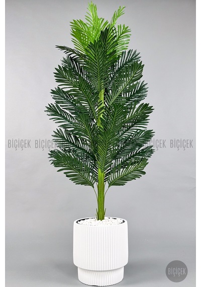 Yapay Areka Ağacı 160-180 Cm H