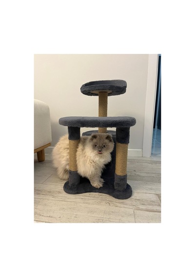 Konforlu Kedi Dinlenme Alanlı- Kedi Evi-kedi Oyun Parkı-kedi Tırmalama 75 Cm