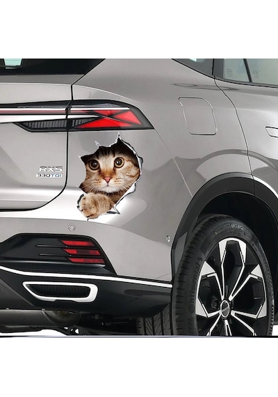 Renkli Kedi Araba Sticker yapıştırması 16cm