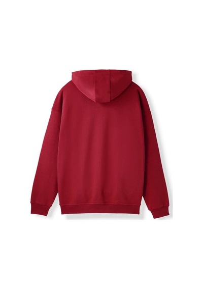 Galatasaray E252113 Hoodıe Bordo Erkek Sweatshirt Bordo