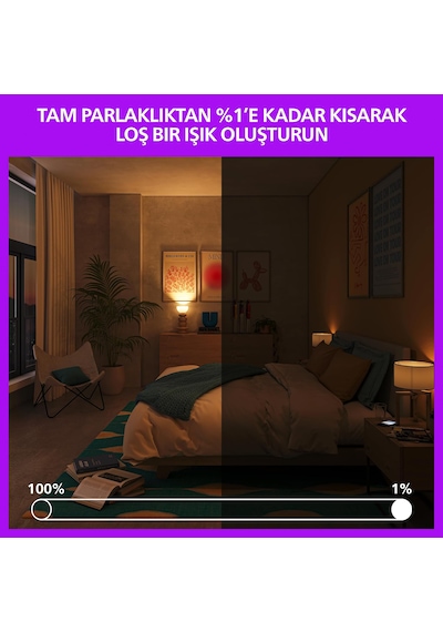 Philips Smart Lighting Led Ampul A60 E27 60w Eşdeğer Rgb - Google Home, Alexa, Homekit Ve Matter Uyumlu Diğer