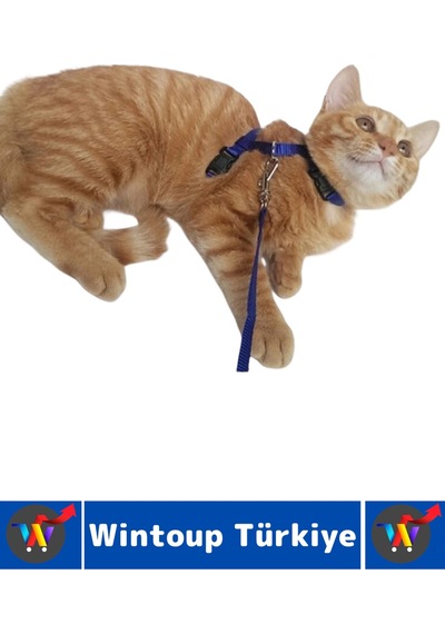 Evcil Hayvan Pet Rahatsız Etmez Ayarlanabilir Tasarım Kaçış Önleme Çok Şık Kedi Boyun Göğüs Tasması