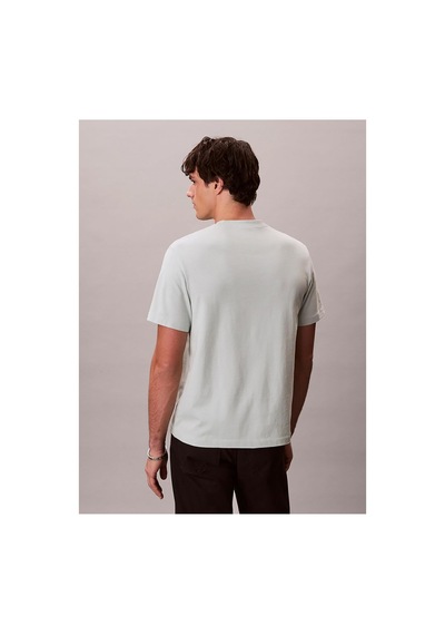 Calvin Klein Jeans Açık Yeşil Erkek T-shirt Lv04rc275g3q0 Açık Yeşil T-shirt-16054
