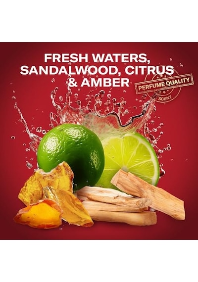 Old Spice Whitewater Erkekler İçin Duş Jeli Ve Şampuan 1000 Ml Ekstra-xl Çoklu Kullanım 3'ü 1 Arada, Uzun Ömürlü Tazelik, Parfüm Kokusu, Derinlemesine Temizlik Acai Üzümü