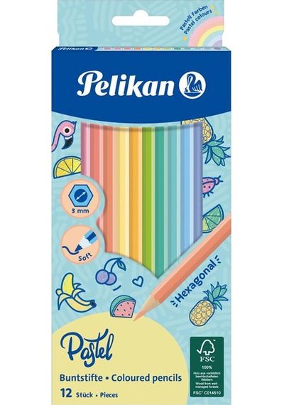 12 Li Pastel Renk Kuru Boya Kalemi Karton Kutu 1 Paket 12 Renk Kuruboya Tam Boy Renkli Kalem