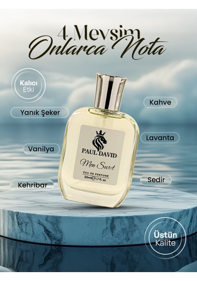 E-249 Odunsu Baharat Edp Parfüm Uzun Süre Kalıcı 50ml Amber