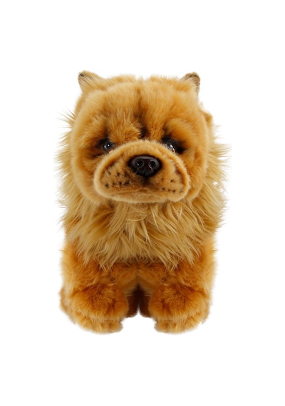 Chow Chow (Çin Aslanı) 28 cm