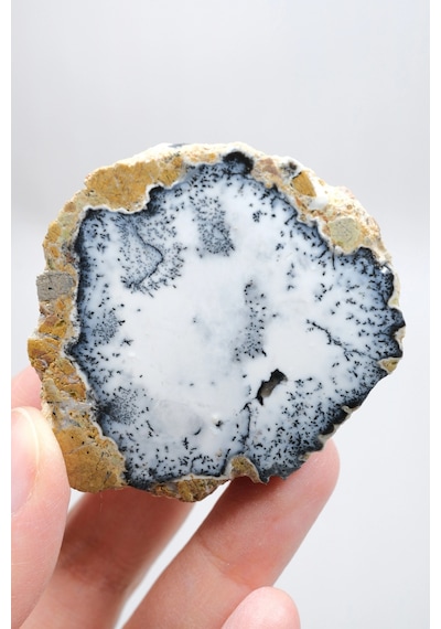 Dendritik Simya: Merlinit Dendritik Opal - Cilalı Çift