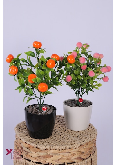 Yapay Çiçek Sitesi Plastik Saksıda Yapay Mini Mandalina & Şeftali Tanzimi 2 Li Set 33 Cm Çok Renkli
