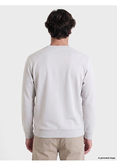 Lcwaıkıkı Classic Gri Bisiklet Yaka Erkek Kalın Sweatshirt