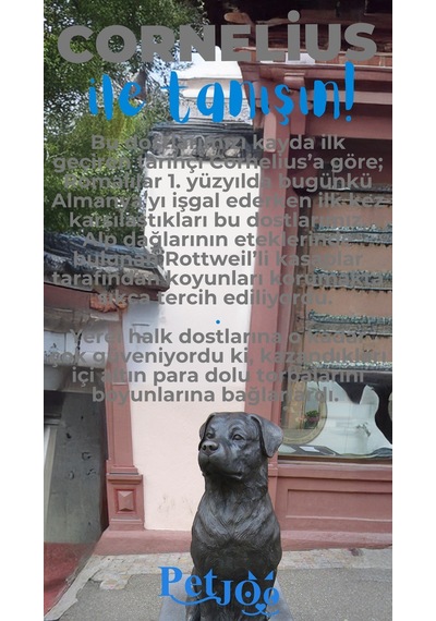 Petjoo 20.Cornelius Mavi-Gri Qr'lı Köpek Künyesi