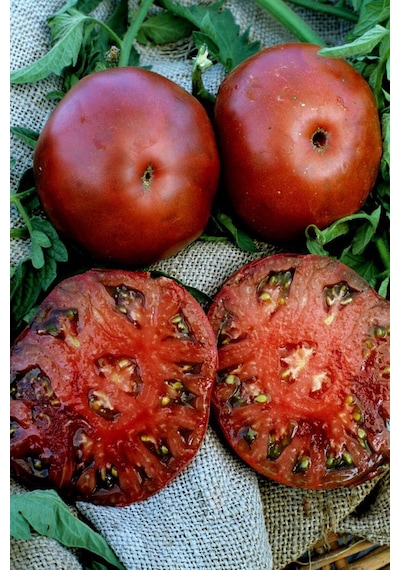 Siyah Black Krim Domates Tohumu Dünyanın En Lezzetli Domatesi