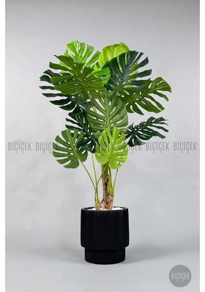 Biçiçek Yapay Monstera Ağacı Deve Tabani 160 Cm Si̇yah Vega Saksıda