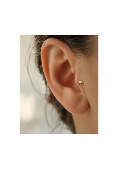 14 Ayar Altın Parlak Fil Model Taş Detaylı Tragus Piercing Küpe