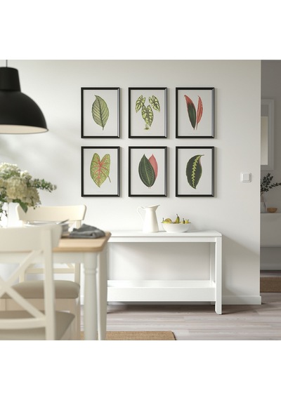 Bild Poster, Çok Renkli