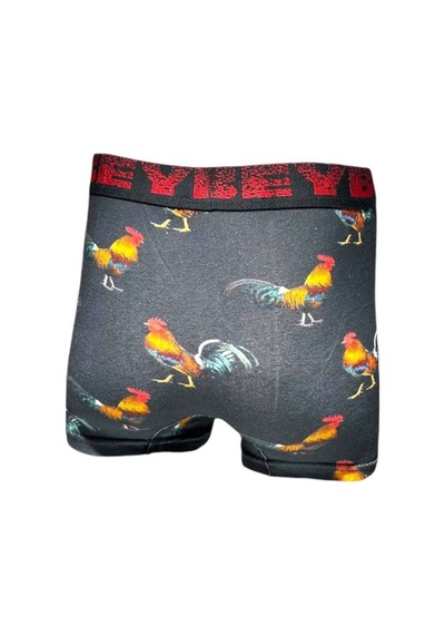 Baskılı Erkek Boxer DESENLİ