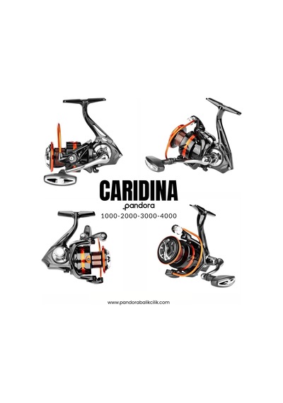 Pandora Caridina 3000 Makine 5+1 Bb Alüminyum Kafa