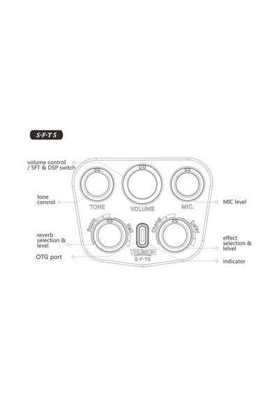 Trumon Wing 980tf-s5 Elektro Akustik Gitar