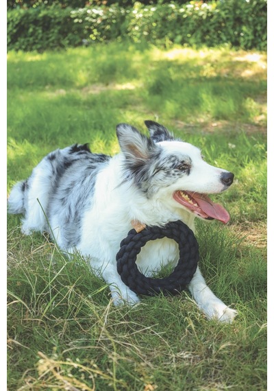 M-pets Coto Örgü Halka Köpek Oyuncağı 18 Cm Siyah