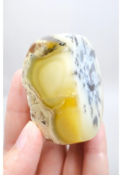 Merlinit Dendritik Opal - Mavi Kalsedon Ve Bal Opalı Serbest Form İçgörü Ve Denge Taşı, 117g