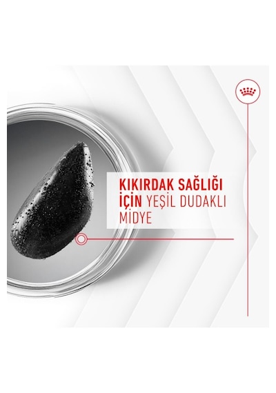 Joint&ageing Chews Eklem Ve Sağlıklı Yaşlanmayı Destekleyen Tamamlayıcı Ödül Maması 240g
