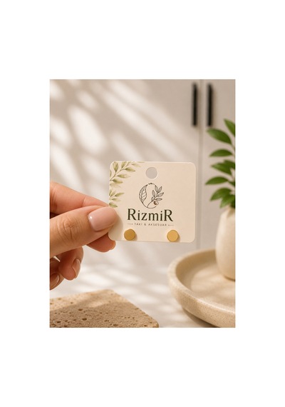 Gold Renk Yuvarlak Disk Minimal Kadın Çivi Küpe Altın