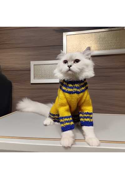 Kedi Ve Köpek İçin Sarı Kanarya Kazak