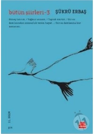 Bütün Şiirleri 3 - Şükrü Erbaş - Kırmızı Kedi