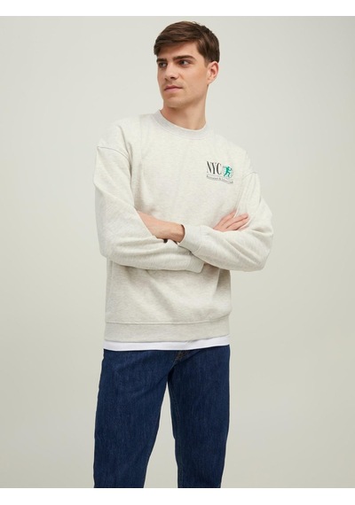 Jack & Jones Erkek Sweatshirt Jorbrınk Cıty Sweat Crew Neck 12216048 001