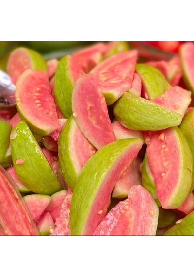 Pembe Guava Fidanı Pink Guava - 50-70 Cm Büyük Boy Tüplü Egzotik Meyve