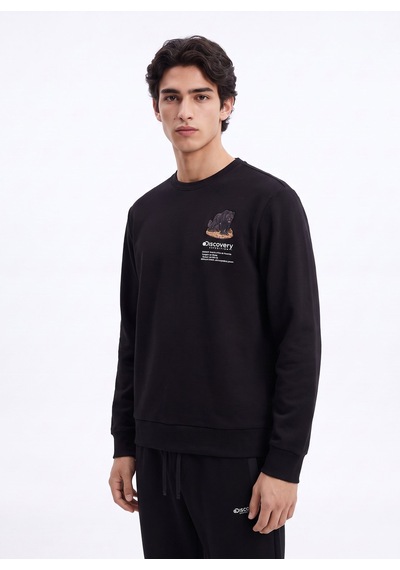 Discovery Expedition D6wm-swt3791 Siyah Erkek Bisiklet Yaka Rahat Kalıp Cepsiz Sweatshirt