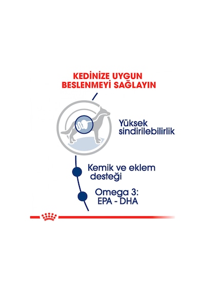 Royal Canin Maxi Adult Köpek Maması 10 x 140 G