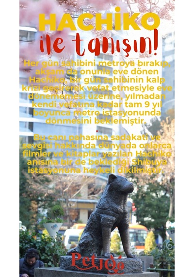 Petjoo 19.Hachiko Kırmızı-Sarı Qr'lı Köpek Künyesi