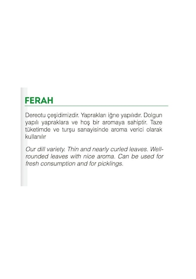 AGRodal Tarım Ata Tohumu Yerli Doğal Dereotu Ferah 1000 Ad Tohum