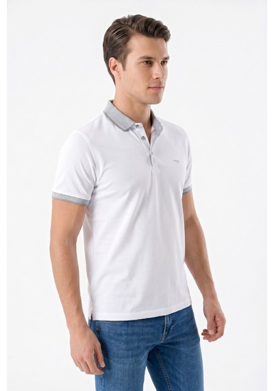Raymons Erkek Polo Yaka Kısa Kollu Tişört Regular Kalıp T3000 Bgl-st05555 Beyaz Raymons Erkek Polo Yaka Kısa Kollu Tişört Regular Kalıp T3000 Bgl-st05555 Beyaz