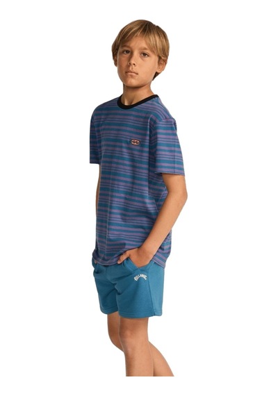 Billabong Bıllabong Arch Short Lt Bpr0 Çok Renkli