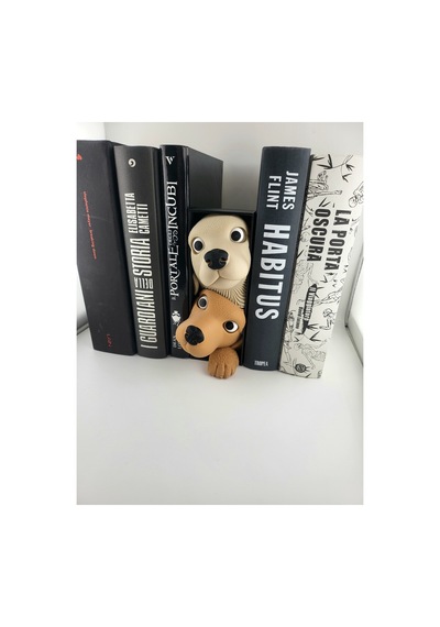 Kitap Köşesi Figürü Sevimli Köpüşler