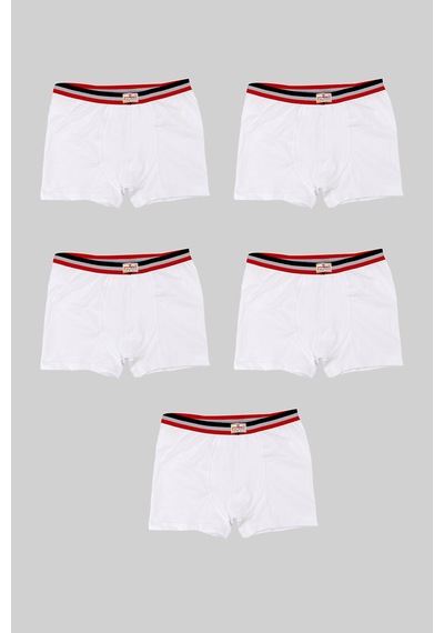 Ceylanoğlu 6'lı Beyaz Erkek Çocuk Sade Boxer-343-1 Beyaz