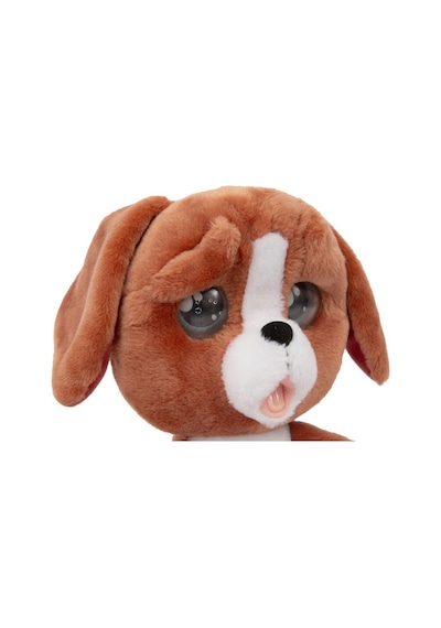Emotion Pets Evcil Hayvanlar Kızıl Köpecik