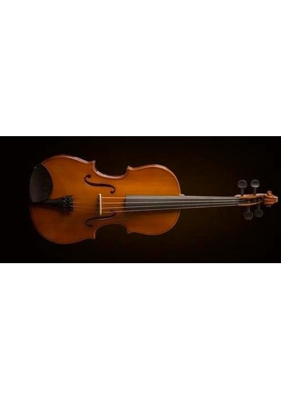 Valencia Va16041 Viyola 16 İnç Öğrenci Seti 40.6 Cm - Hafif Kutu - Başlangıç İçin İdeal