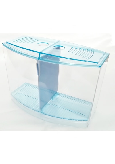 Bölmeli Izgaralı Betta Beta Kabı Tankı Akvaryum 1800 ML 19 x 8 x 13 CM Mavi